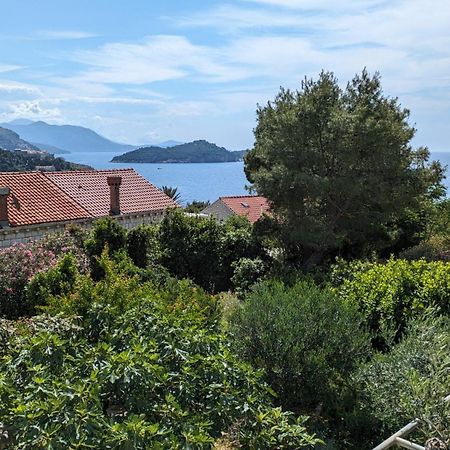 L&N Studio Apartment Dubrovnik Kültér fotó